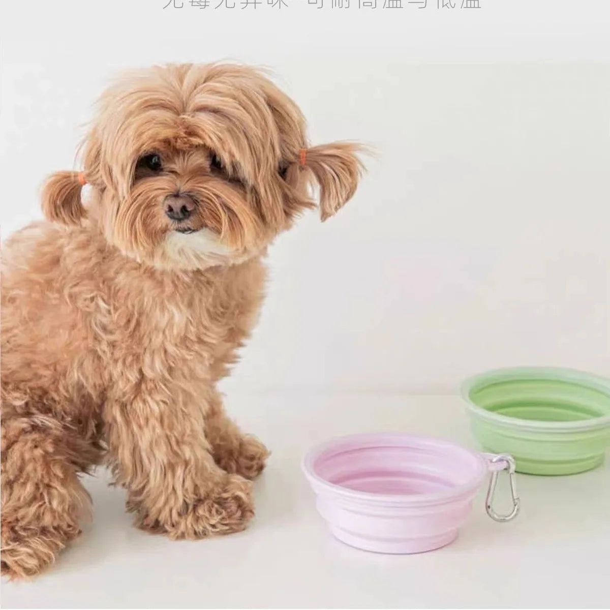 Pets Go Out Folding Bowls for Dogs Outdoor Drinking Bowls for Dogs Portable Silicone Bowls Folding Cat Bowls Dog Bowls