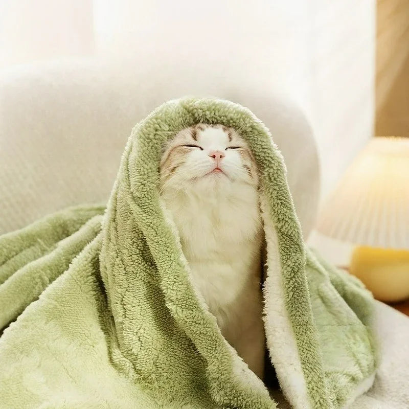 Thickened Pet Blanket Ultra-soft Pet Blanket Plush Pet Blanket for Dogs Cats Warm Soft Sleeping Mat Comfortable for Winter